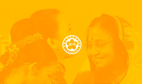 中國人民對外友好
協會官網網站開發(fā)